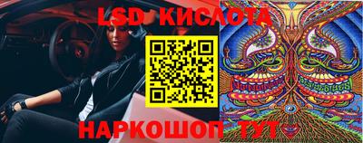 mdma Камышлов